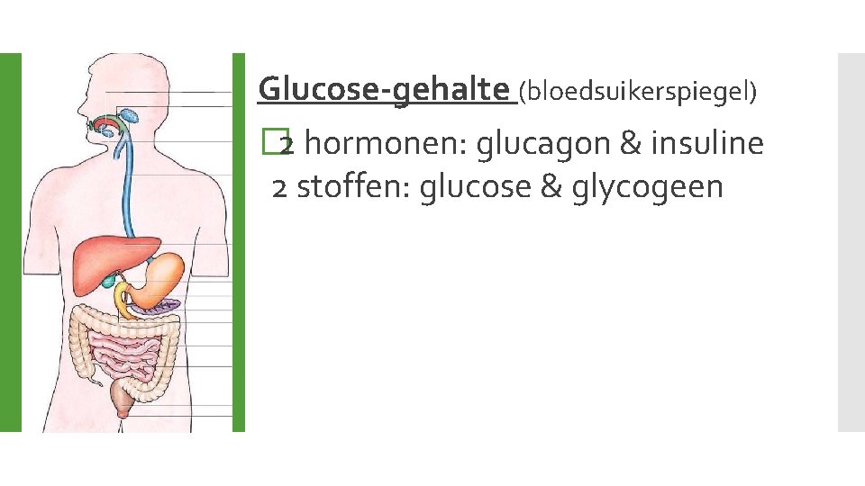 Glucose-gehalte (bloedsuikerspiegel) � 2 hormonen: glucagon & insuline 2 stoffen: glucose & glycogeen 