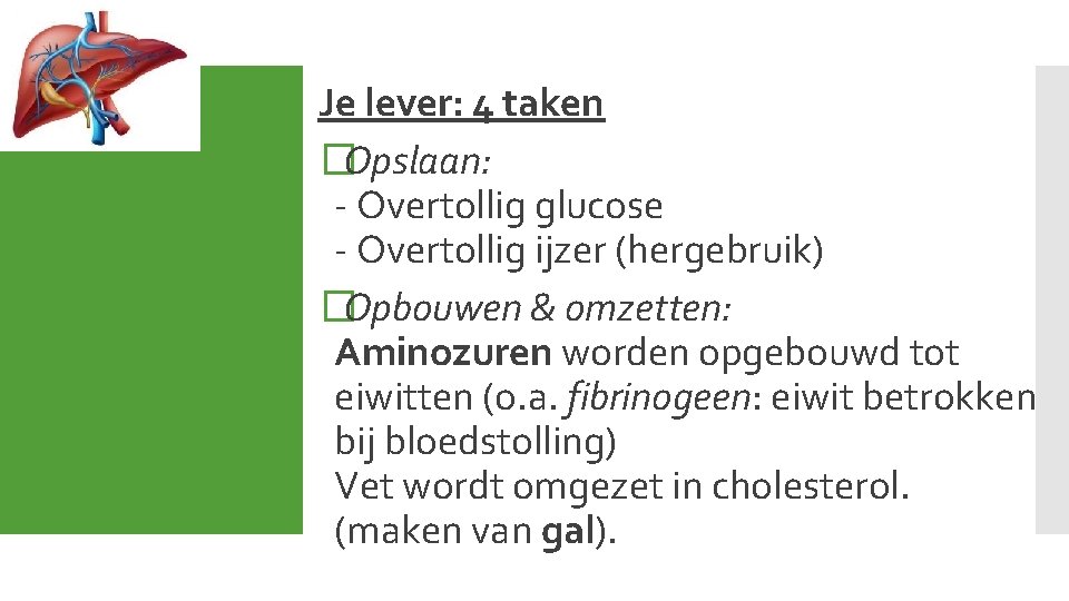 Je lever: 4 taken �Opslaan: - Overtollig glucose - Overtollig ijzer (hergebruik) �Opbouwen &