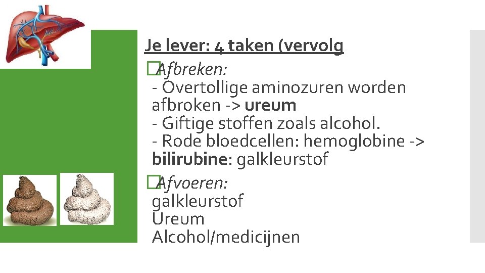 Je lever: 4 taken (vervolg �Afbreken: - Overtollige aminozuren worden afbroken -> ureum -