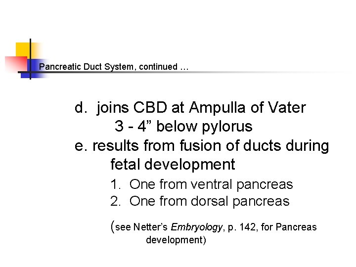 Pancreatic Duct System, continued … d. joins CBD at Ampulla of Vater 3 -