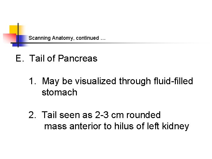 Scanning Anatomy, continued … E. Tail of Pancreas 1. May be visualized through fluid-filled