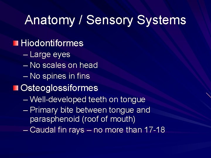 Anatomy / Sensory Systems Hiodontiformes – Large eyes – No scales on head –