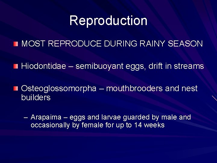 Reproduction MOST REPRODUCE DURING RAINY SEASON Hiodontidae – semibuoyant eggs, drift in streams Osteoglossomorpha