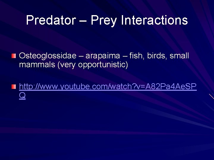 Predator – Prey Interactions Osteoglossidae – arapaima – fish, birds, small mammals (very opportunistic)