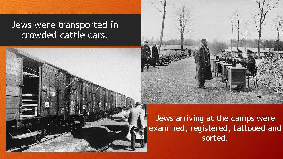 Jews were transported in crowded cattle cars. Jews arriving at the camps were examined,