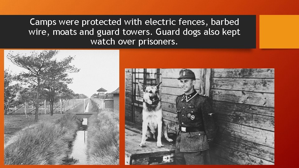 Camps were protected with electric fences, barbed wire, moats and guard towers. Guard dogs