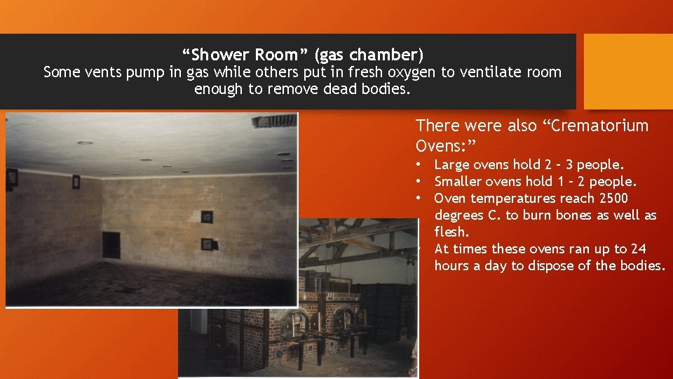 “Shower Room” (gas chamber) Some vents pump in gas while others put in fresh