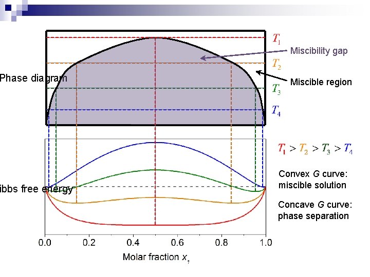 Phase diagram ibbs free energy Miscibility gap Miscible region Convex G curve: miscible solution
