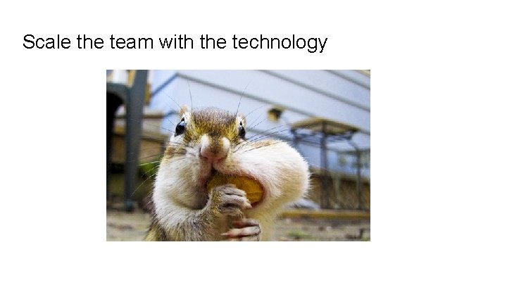 Scale the team with the technology 