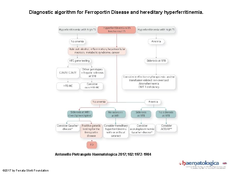 Diagnostic algorithm for Ferroportin Disease and hereditary hyperferritinemia. Antonello Pietrangelo Haematologica 2017; 102: 1972