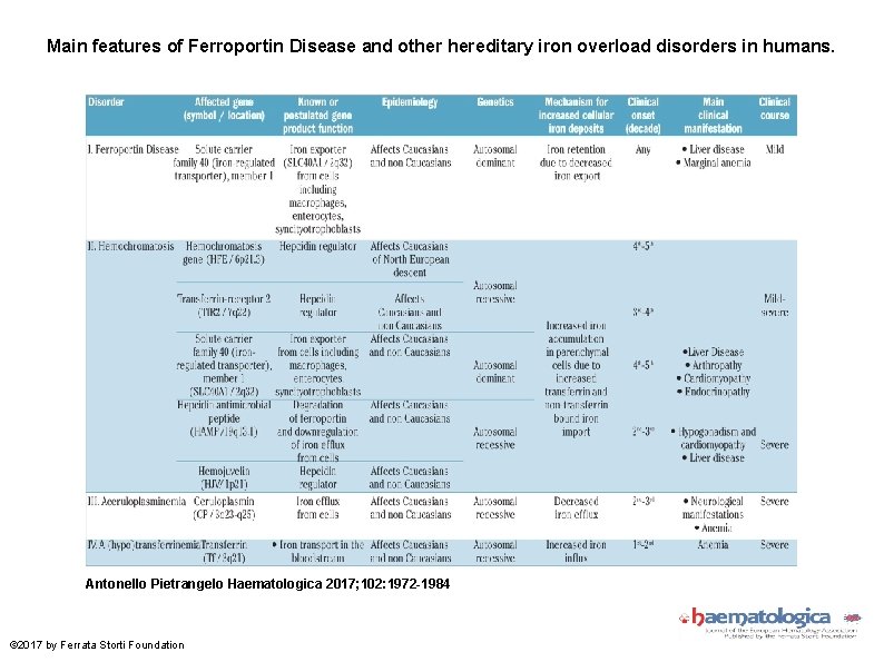 Main features of Ferroportin Disease and other hereditary iron overload disorders in humans. Antonello