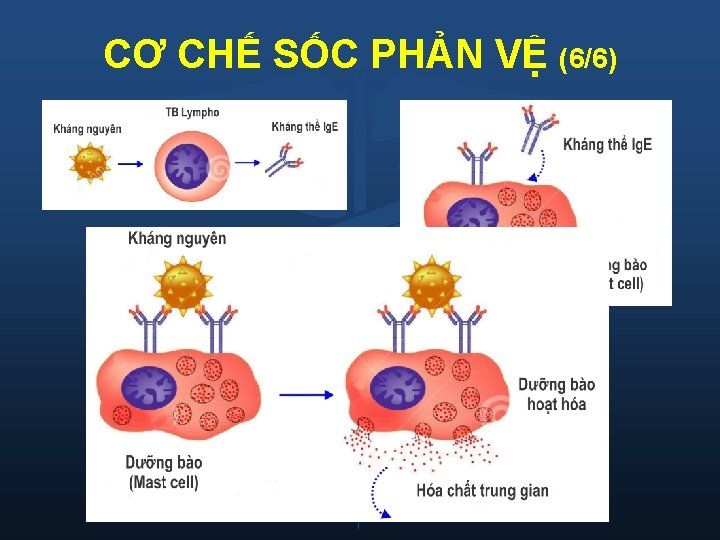 CƠ CHẾ SỐC PHẢN VỆ (6/6) 