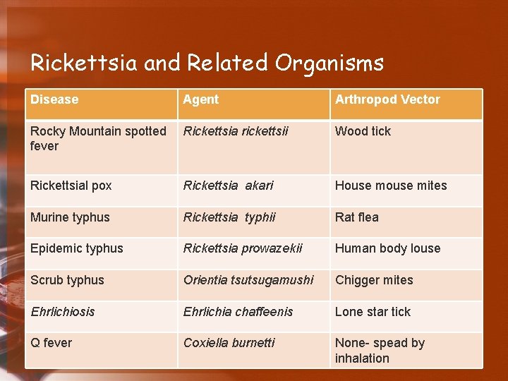 Rickettsia and Related Organisms Disease Agent Arthropod Vector Rocky Mountain spotted fever Rickettsia rickettsii