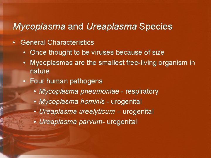 Mycoplasma and Ureaplasma Species • General Characteristics • Once thought to be viruses because