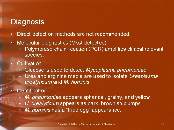 Diagnosis • Direct detection methods are not recommended. • Molecular diagnostics (Most detected) •