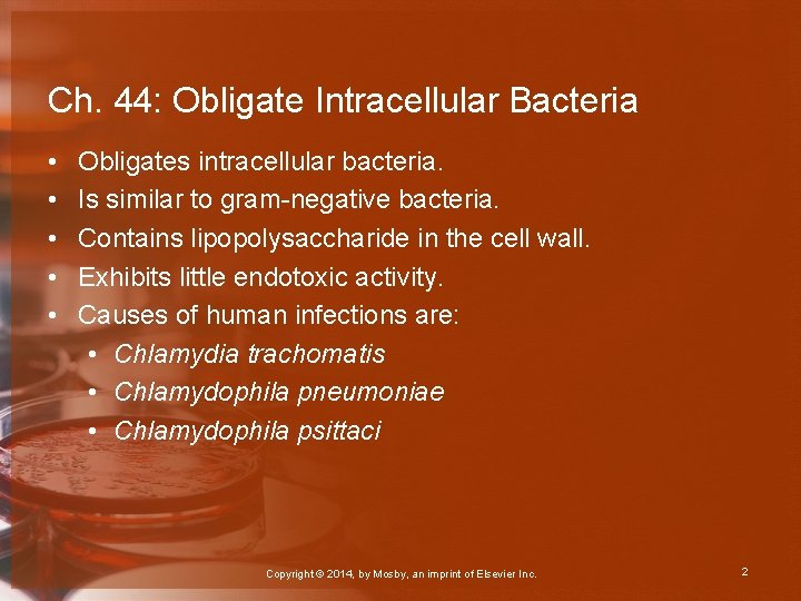 Ch. 44: Obligate Intracellular Bacteria • • • Obligates intracellular bacteria. Is similar to