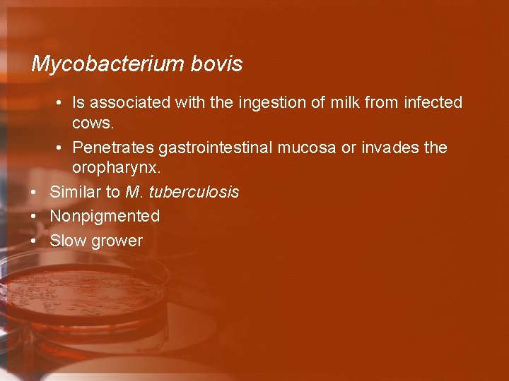 Mycobacterium bovis • Is associated with the ingestion of milk from infected cows. •