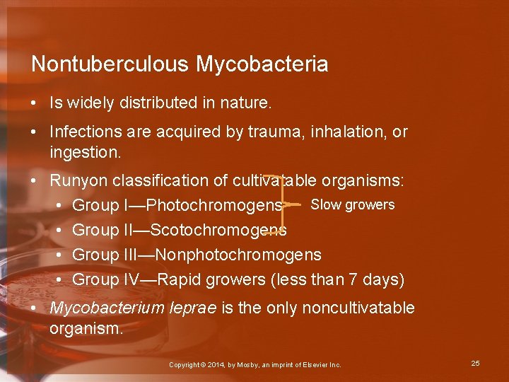 Nontuberculous Mycobacteria • Is widely distributed in nature. • Infections are acquired by trauma,