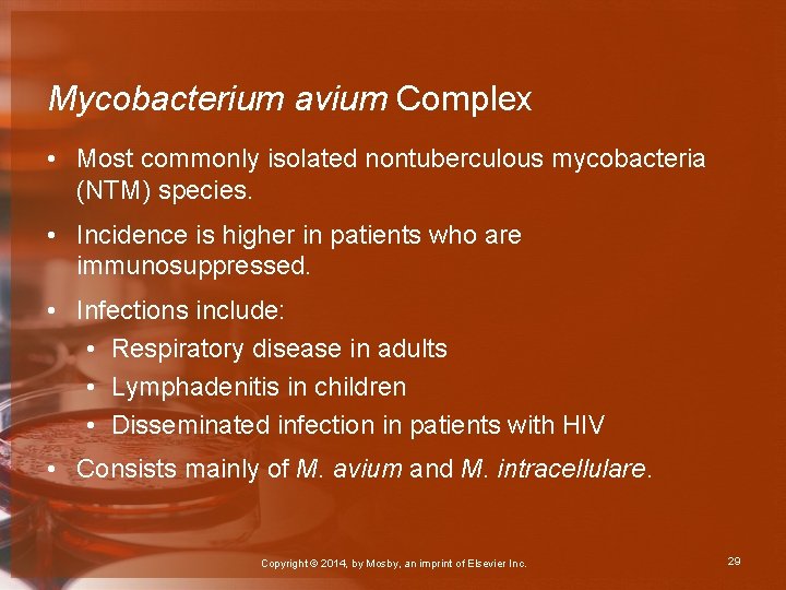 Mycobacterium avium Complex • Most commonly isolated nontuberculous mycobacteria (NTM) species. • Incidence is