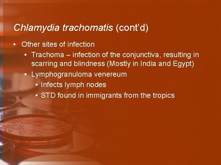 Chlamydia trachomatis (cont’d) • Other sites of infection • Trachoma – infection of the