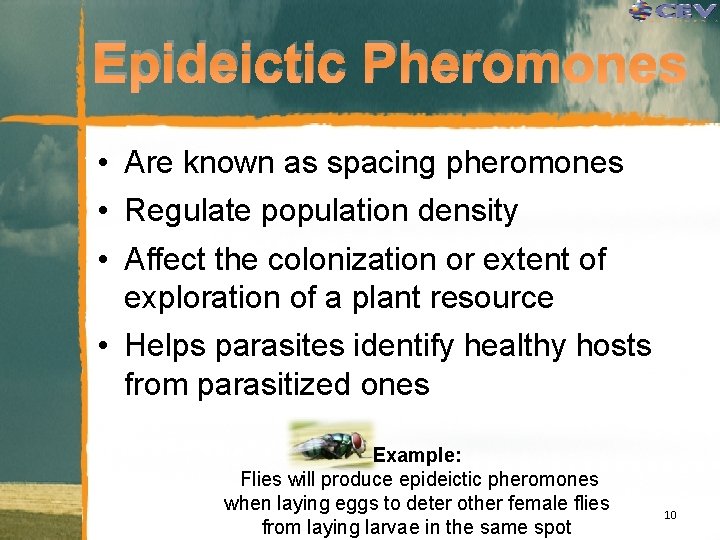 Epideictic Pheromones • Are known as spacing pheromones • Regulate population density • Affect