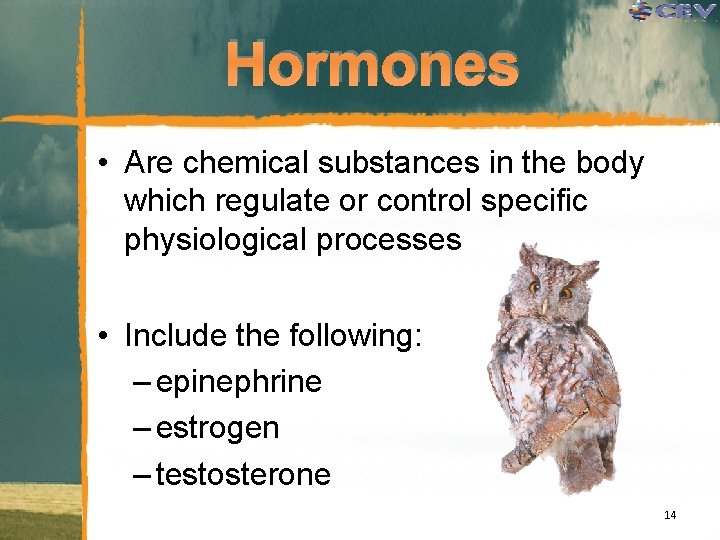 Hormones • Are chemical substances in the body which regulate or control specific physiological