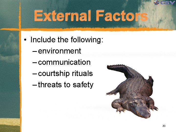 External Factors • Include the following: – environment – communication – courtship rituals –
