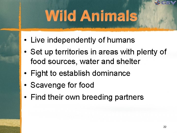 Wild Animals • Live independently of humans • Set up territories in areas with
