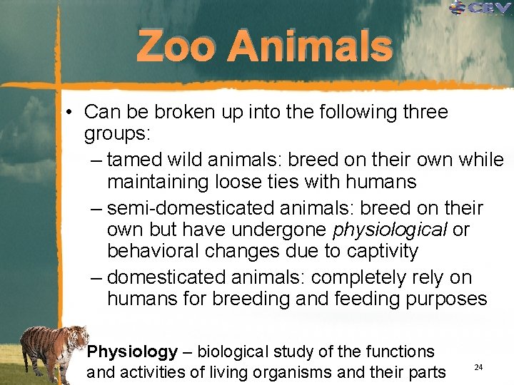 Zoo Animals • Can be broken up into the following three groups: – tamed