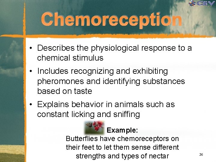 Chemoreception • Describes the physiological response to a chemical stimulus • Includes recognizing and