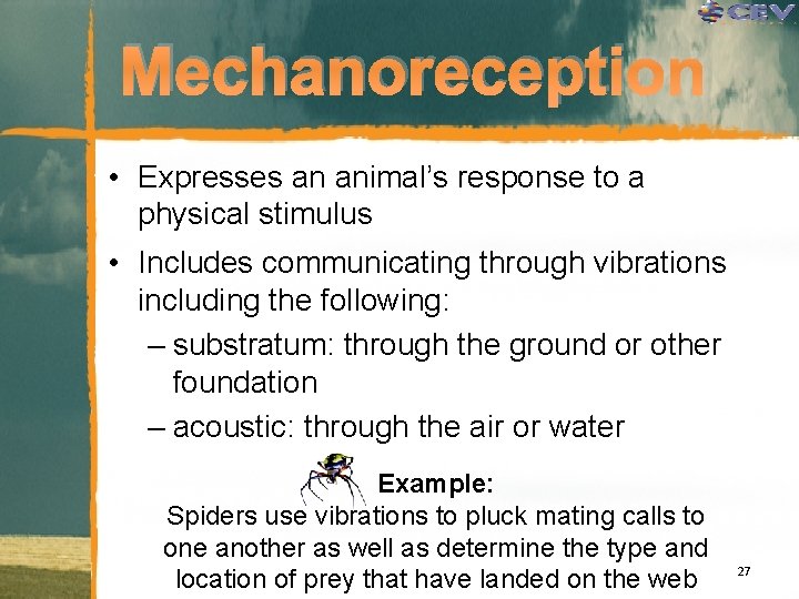 Mechanoreception • Expresses an animal’s response to a physical stimulus • Includes communicating through