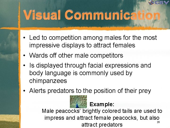Visual Communication • Led to competition among males for the most impressive displays to