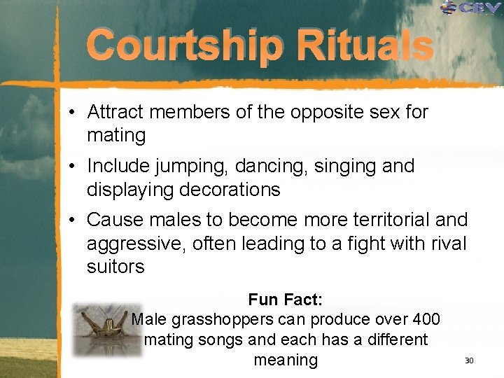 Courtship Rituals • Attract members of the opposite sex for mating • Include jumping,