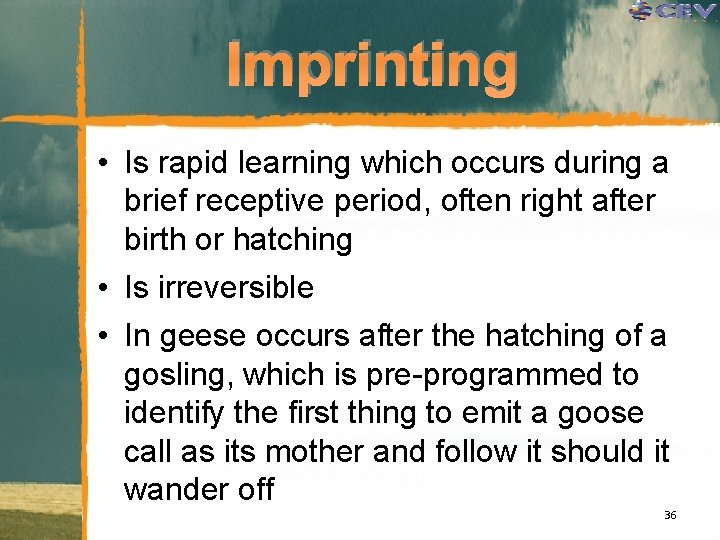 Imprinting • Is rapid learning which occurs during a brief receptive period, often right