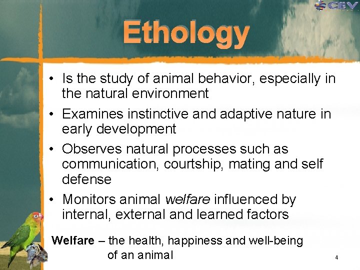 Ethology • Is the study of animal behavior, especially in the natural environment •