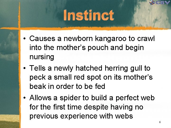 Instinct • Causes a newborn kangaroo to crawl into the mother’s pouch and begin