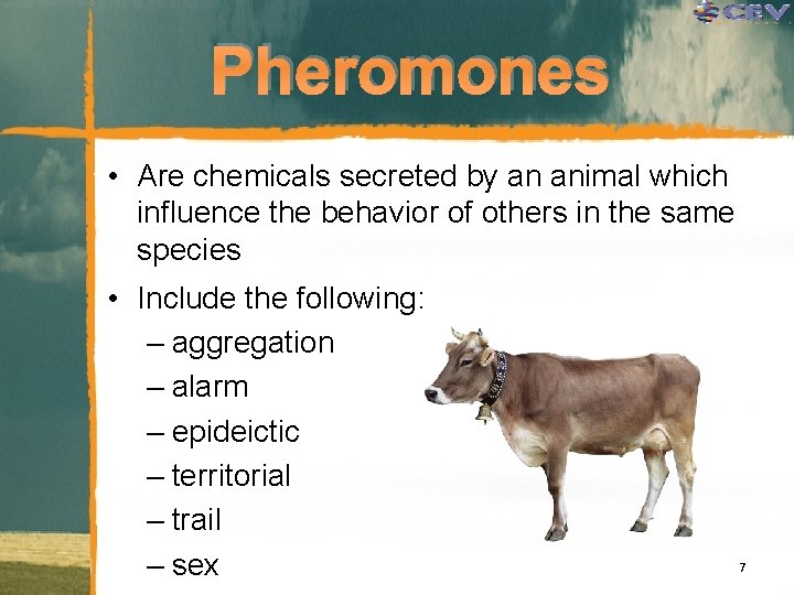 Pheromones • Are chemicals secreted by an animal which influence the behavior of others