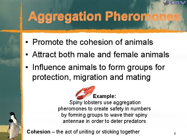 Aggregation Pheromones • Promote the cohesion of animals • Attract both male and female