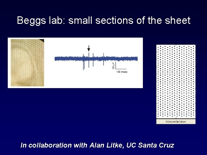 Beggs lab: small sections of the sheet In collaboration with Alan Litke, UC Santa
