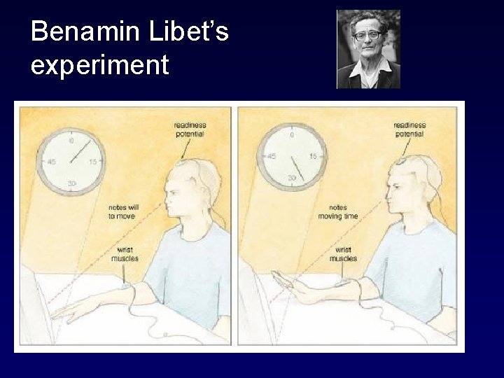 Benamin Libet’s experiment 