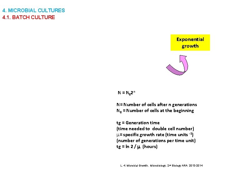 4. MICROBIAL CULTURES 4. 1. BATCH CULTURE Exponential growth N = N 0 2