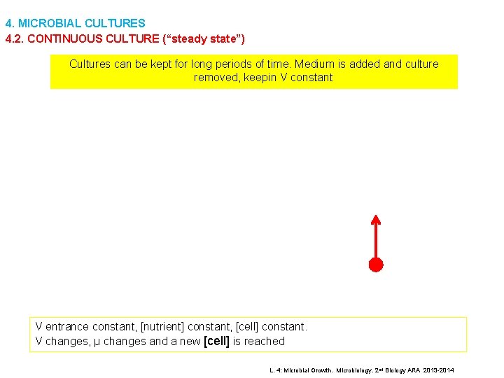 4. MICROBIAL CULTURES 4. 2. CONTINUOUS CULTURE (“steady state”) Cultures can be kept for