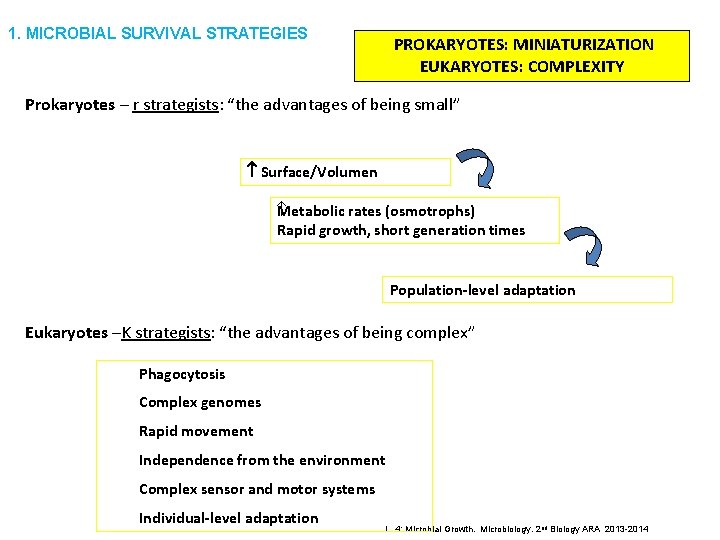 1. MICROBIAL SURVIVAL STRATEGIES PROKARYOTES: MINIATURIZATION EUKARYOTES: COMPLEXITY Prokaryotes – r strategists: “the advantages