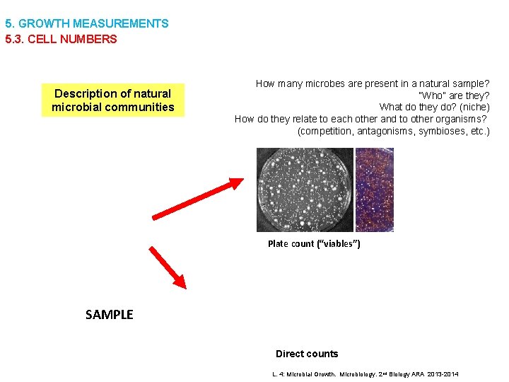 5. GROWTH MEASUREMENTS 5. 3. CELL NUMBERS Description of natural microbial communities How many