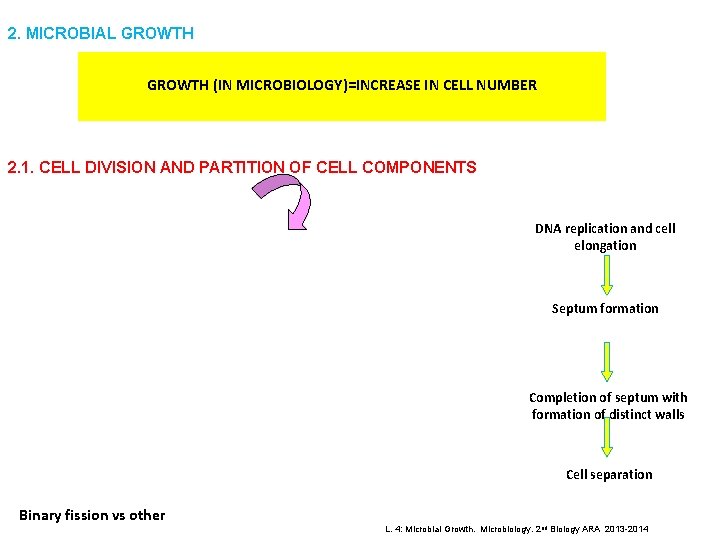 2. MICROBIAL GROWTH (IN MICROBIOLOGY)=INCREASE IN CELL NUMBER 2. 1. CELL DIVISION AND PARTITION