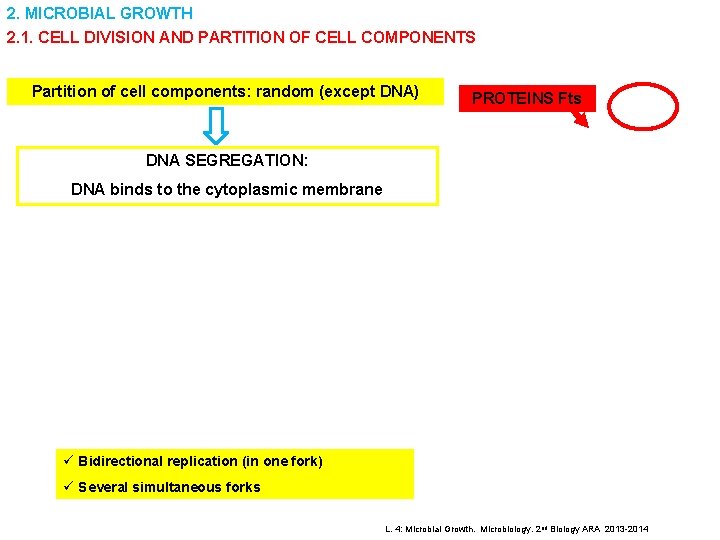 2. MICROBIAL GROWTH 2. 1. CELL DIVISION AND PARTITION OF CELL COMPONENTS Partition of