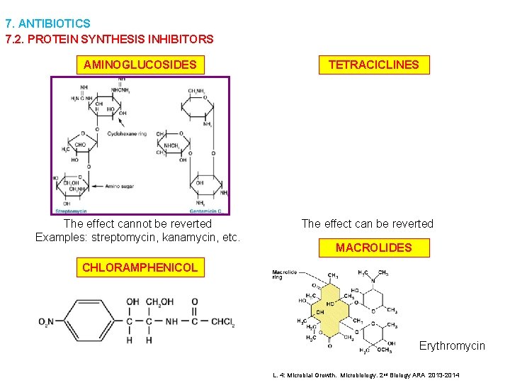 7. ANTIBIOTICS 7. 2. PROTEIN SYNTHESIS INHIBITORS AMINOGLUCOSIDES The effect cannot be reverted Examples: