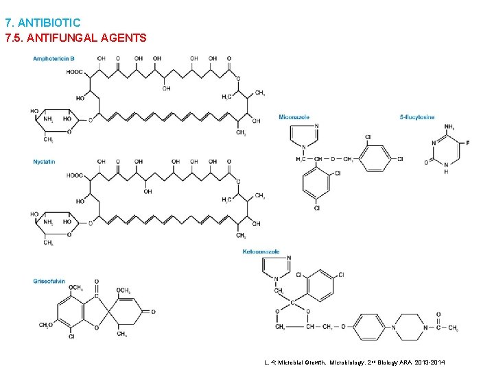 7. ANTIBIOTIC 7. 5. ANTIFUNGAL AGENTS L. 4: Microbial Growth. Microbiology. 2 nd Biology