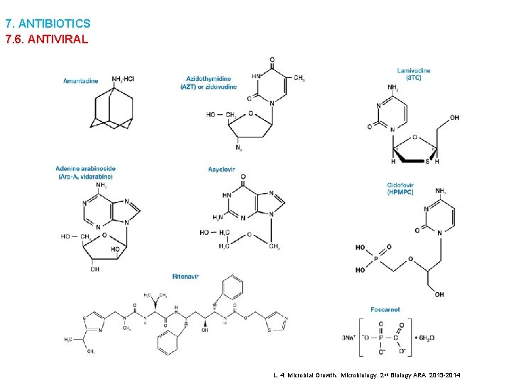 7. ANTIBIOTICS 7. 6. ANTIVIRAL L. 4: Microbial Growth. Microbiology. 2 nd Biology ARA