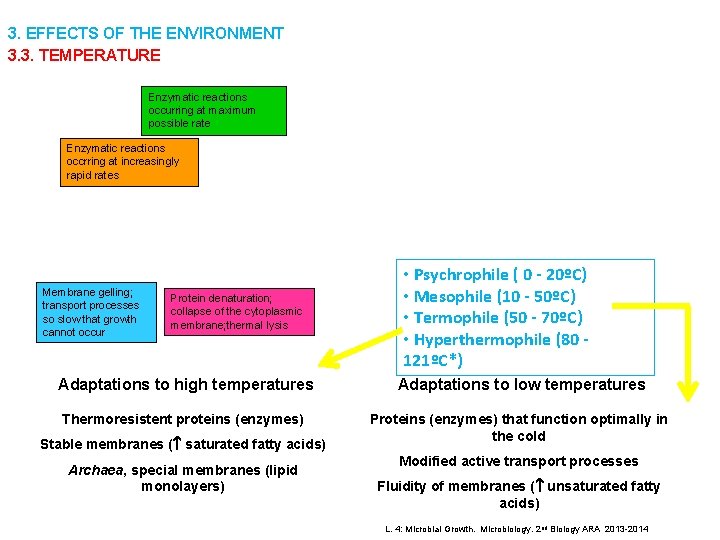 3. EFFECTS OF THE ENVIRONMENT 3. 3. TEMPERATURE Enzymatic reactions occurring at maximum possible